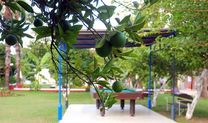Tal Hotel Beldibi (Kemer) Exterior foto